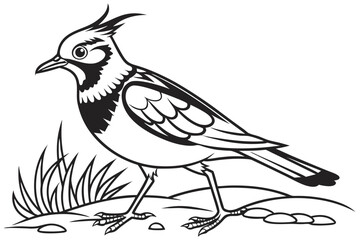 coloring page line art the lapwing black vector