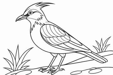 coloring page line art the lapwing black vector