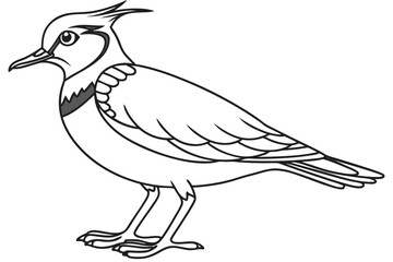 Fototapeta premium coloring page line art the lapwing black vector