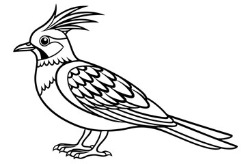 coloring page line art the lapwing black vector