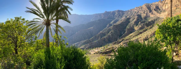 Fototapete Palme Jebel Kawr  © Ralf