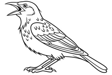 coloring page line art the lark bird black vector