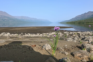 Lake Yt-Kyuyol on the Putorana Plateau.