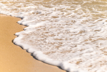 Calm and Serene Beach Scene with a Gentle Wave