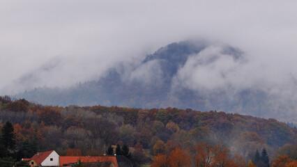 Misty Hilltop Detail with Foggy Atmosphere and Soft Light