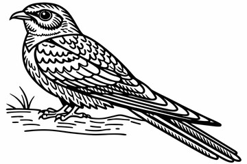 coloring page line art the nightjar black vector