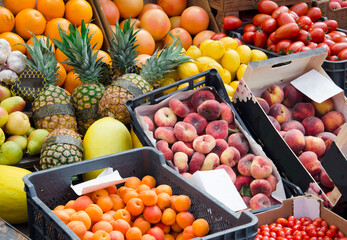 Vibrant display of fresh seasonal produce including pineapples, peaches, apricots, tomatoes, lemons, pears, oranges and grapefruits at a local farmers market. Healthy, natural food rich in vitamins.