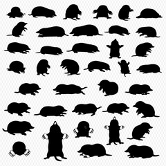 A collection of various mole silhouettes in different poses, including standing, crawling, and facing forward, arranged on a transparent background.