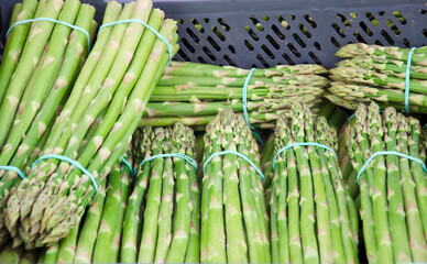 Close-up of fresh green asparagus neatly bundled with rubber bands and displayed in plastic crates...