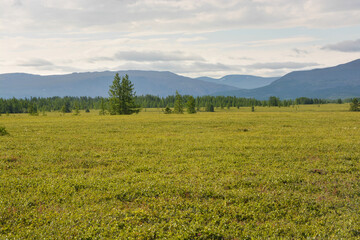 Ingilor Nature Park.