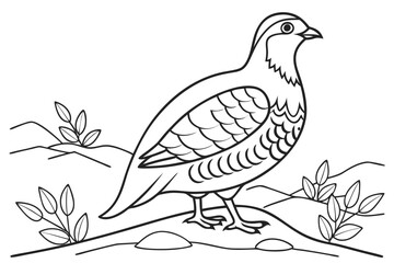 coloring page line art the partridge black vector