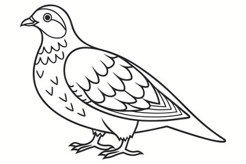 coloring page line art the partridge black vector