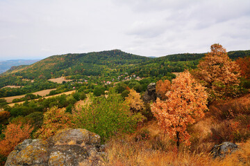 Dry Brown Trees in Summer Hilly Czech Countryside Landscape