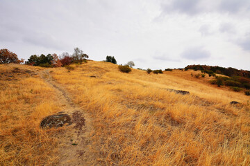 Dry Drought Climate Change Scorched Brown Grassland under Cloudy Sky
