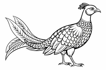 coloring page line art the pheasant black vector