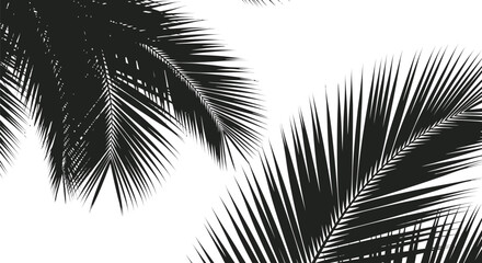 Obraz premium Black and white abstract background illustration of a pine tree branch with needles and a holiday design silhouette