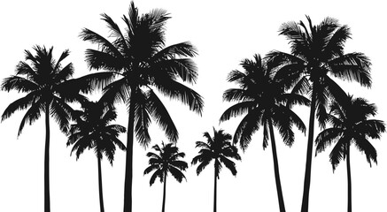 Silhouetted palm trees against a tropical sky evoke summer beach vacations and island nature
