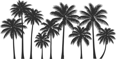 Silhouetted palm trees against a tropical sky evoke summer beach vacations and island nature