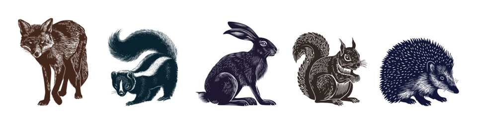 Detailed vector illustration showcasing woodland animals including a fox, skunk, rabbit, squirrel, and hedgehog. Perfect for nature-themed designs and educational materials.