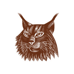 Detailed engraved vector illustration of a lynx head showcasing detailed line art and intricate fur patterns. The focus is on the lynx's alert expression and unique furry features.
