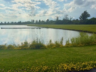 summer landscape with lake