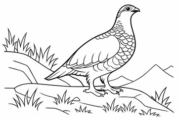 coloring page line art the grouse black vector
