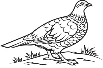 Obraz premium coloring page line art the grouse black vector