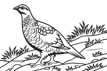 coloring page line art the grouse black vector
