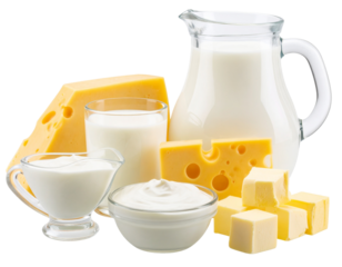 Variety of Dairy Products Including Milk Jug, Cheese Blocks, and Yogurt Cup Isolated on Transparent Background PNG