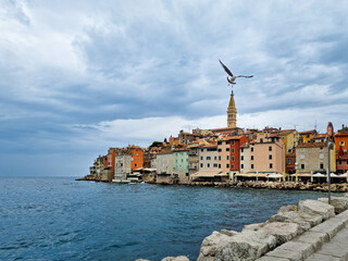 Scenic view of Rovinj old town waterfront with colorful historic buildings and the Church of St. Euphemia under a dramatic cloudy sky. A seagull flies above the Adriatic Sea, Istria, Croatia.