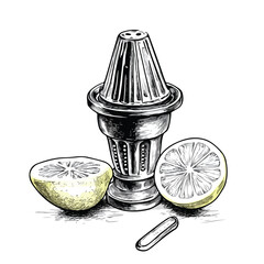 Hand-drawn Lemon Squeezer Sketch