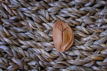 A single apricot pit with a carved rune rests on a textured straw mat. The minimalist composition...
