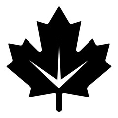 Black vector maple leaf icon