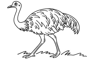 coloring page line art the rhea black vector