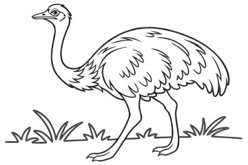 coloring page line art the rhea black vector