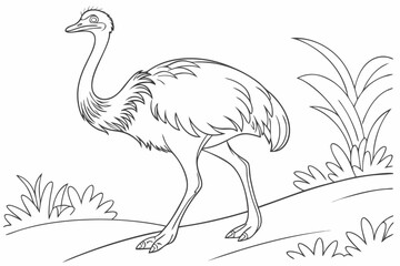 coloring page line art the rhea black vector