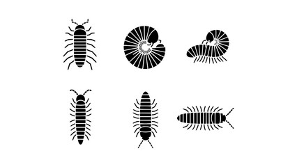 Six various millipede insect designs in black and white, isolated on a background