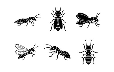 A variety of illustrated termites, showing different forms and poses. This black and white image depicts the diverse appearance of termites