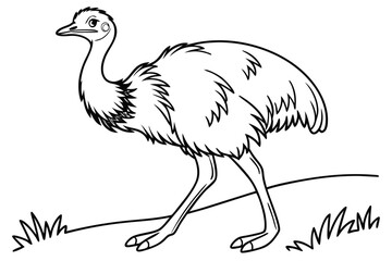 coloring page line art the emu bird black vector