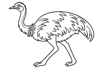 coloring page line art the emu bird black vector