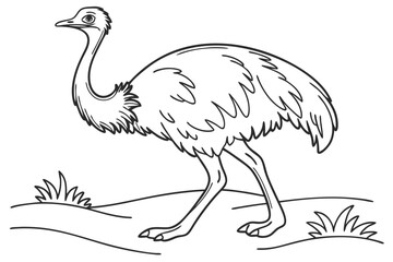 coloring page line art the emu bird black vector