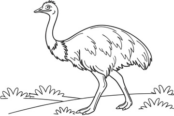 coloring page line art the emu bird black vector