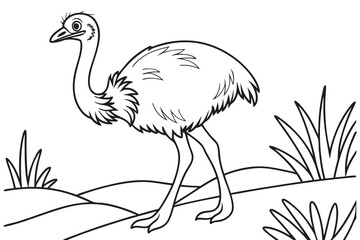 Fototapeta premium coloring page line art the emu bird black vector