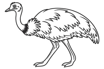 coloring page line art the emu bird black vector