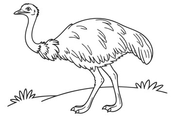 coloring page line art the emu bird black vector