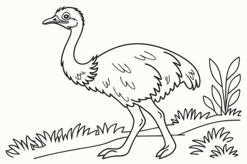Fototapeta premium coloring page line art the emu bird black vector