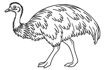 coloring page line art the emu bird black vector