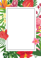 Obraz premium vector border png 