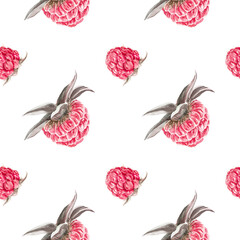 Seamless pattern with raspberries. Watercolor illustration with raspberries, hand painted in watercolor. Botanical illustration for cover design, fabric