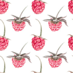 Seamless pattern with raspberries. Watercolor illustration with raspberries, hand painted in watercolor. Botanical illustration for cover design, fabric